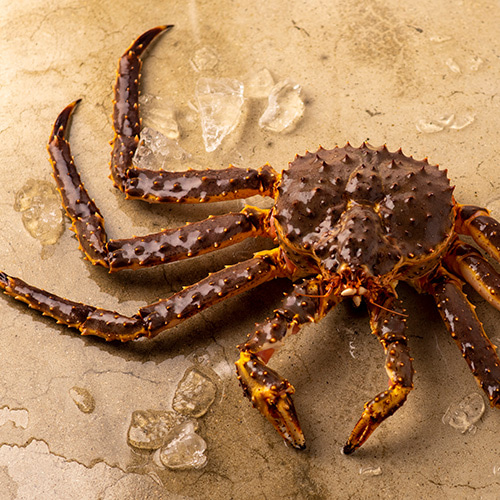 Live King Crab 활 킹크랩 [블루] 3kg(2.9-3.1kg)